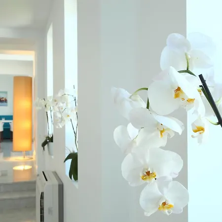 Saraya Bodrum