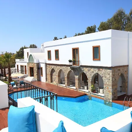 Saraya Hotel *
