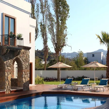Hotel Saraya